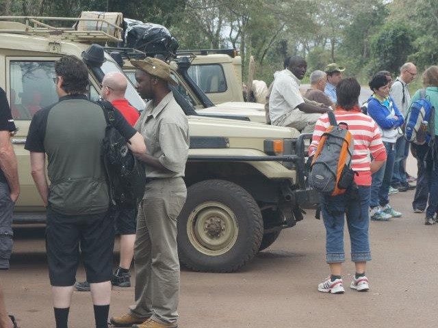Makucha Ya Simba Tours
